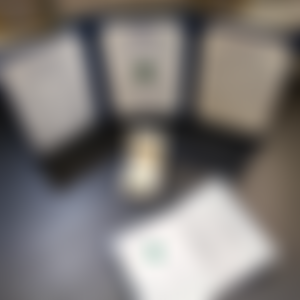 Премиальное экспертное заключение на особо ценные камни выдаётся по усмотрению ГемЦентра. Оно состоит из трёх частей: