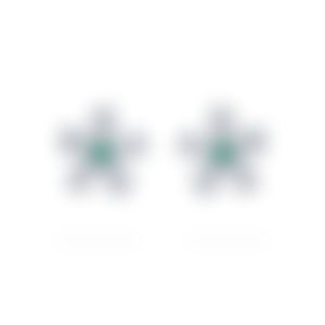 Earrings with diamond G/VS